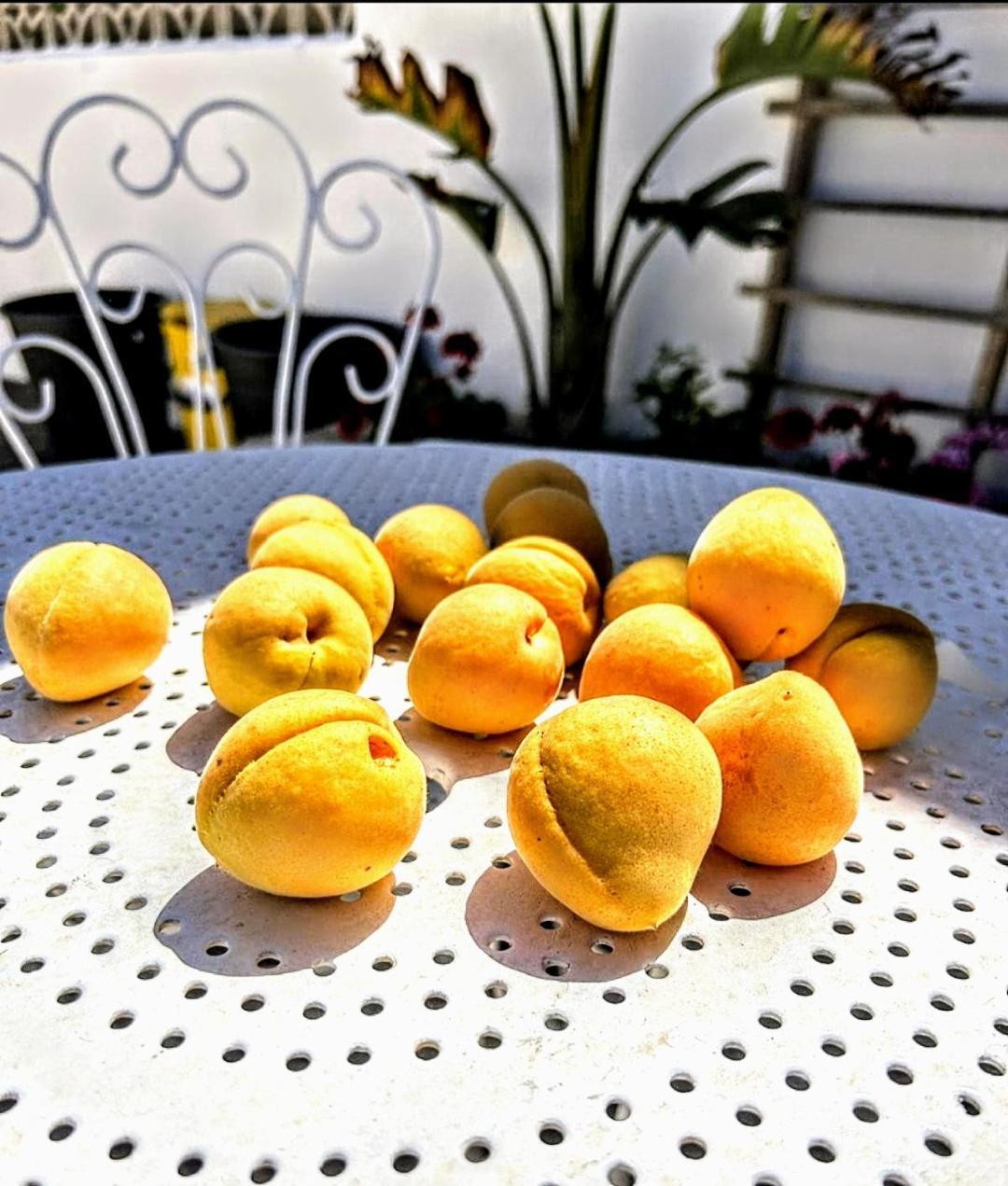 Casa Dei Frutti Di Ostuni Lägenhet Exteriör bild